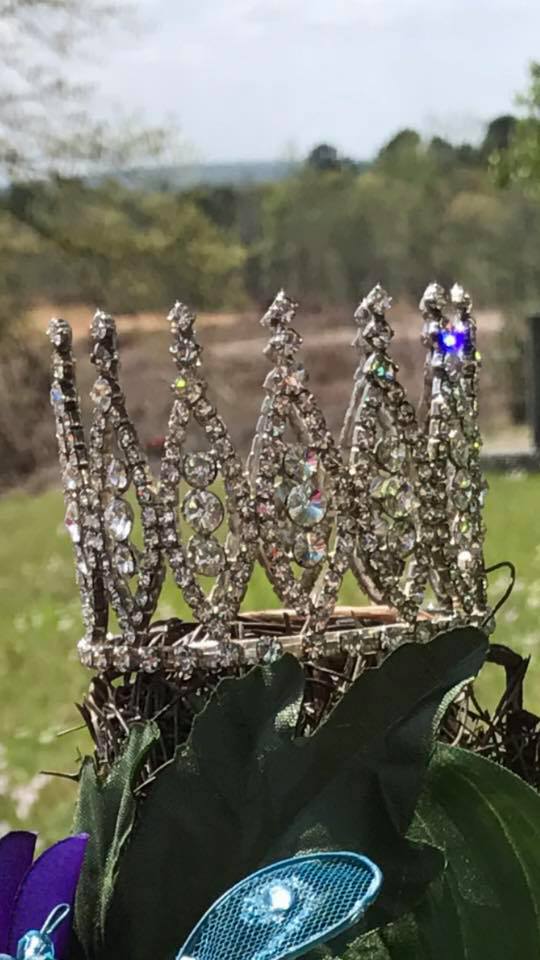 17554273_1759438820748934_2000433317181608989_n